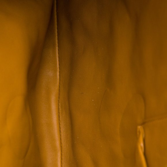 BOTTEGA VENETA Python Tote Velvet Stripes - Picture 6 of 16